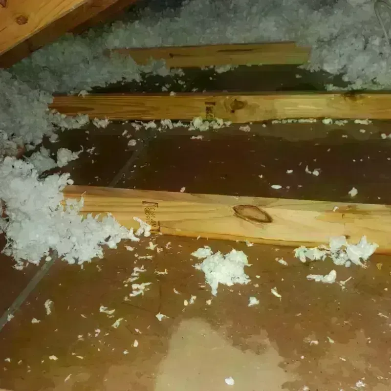 Attic Water Damage in Sandown, NH