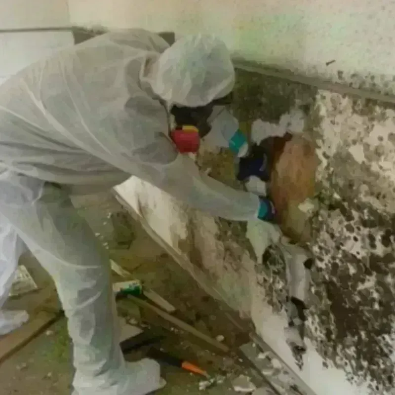 Mold Remediation and Removal in Sandown, NH